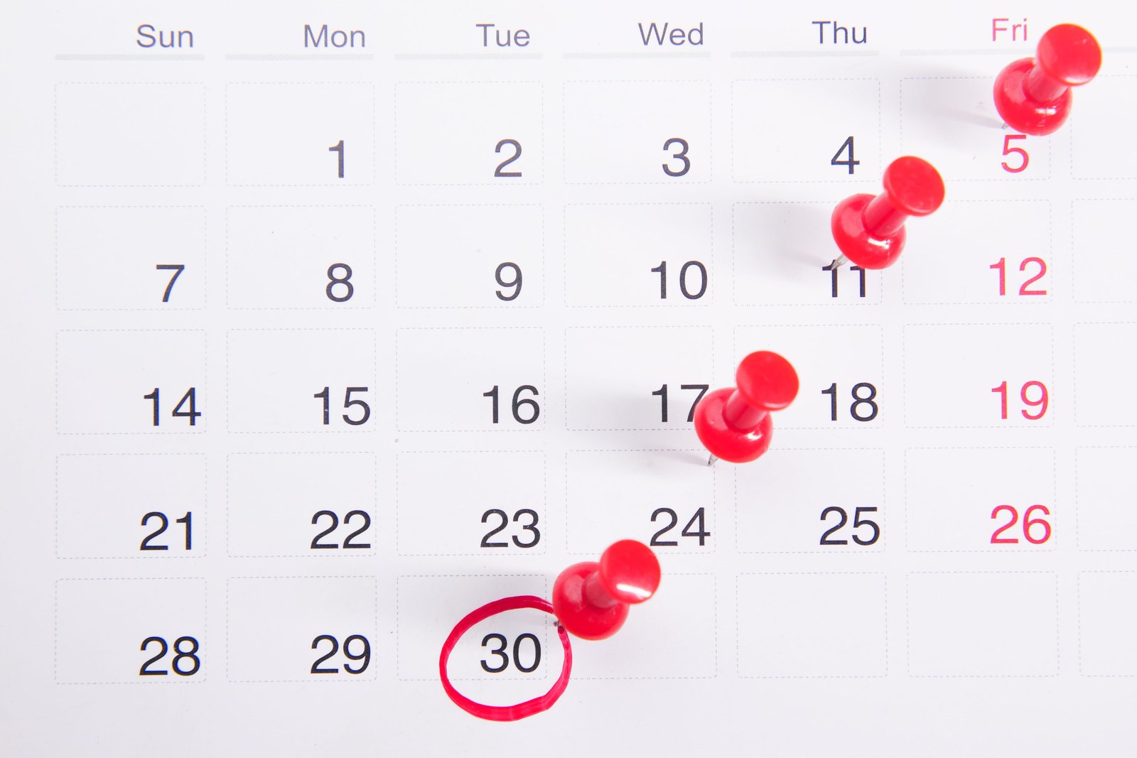 Calendrier de r&eacute;servation pour une agence de location de voitures
